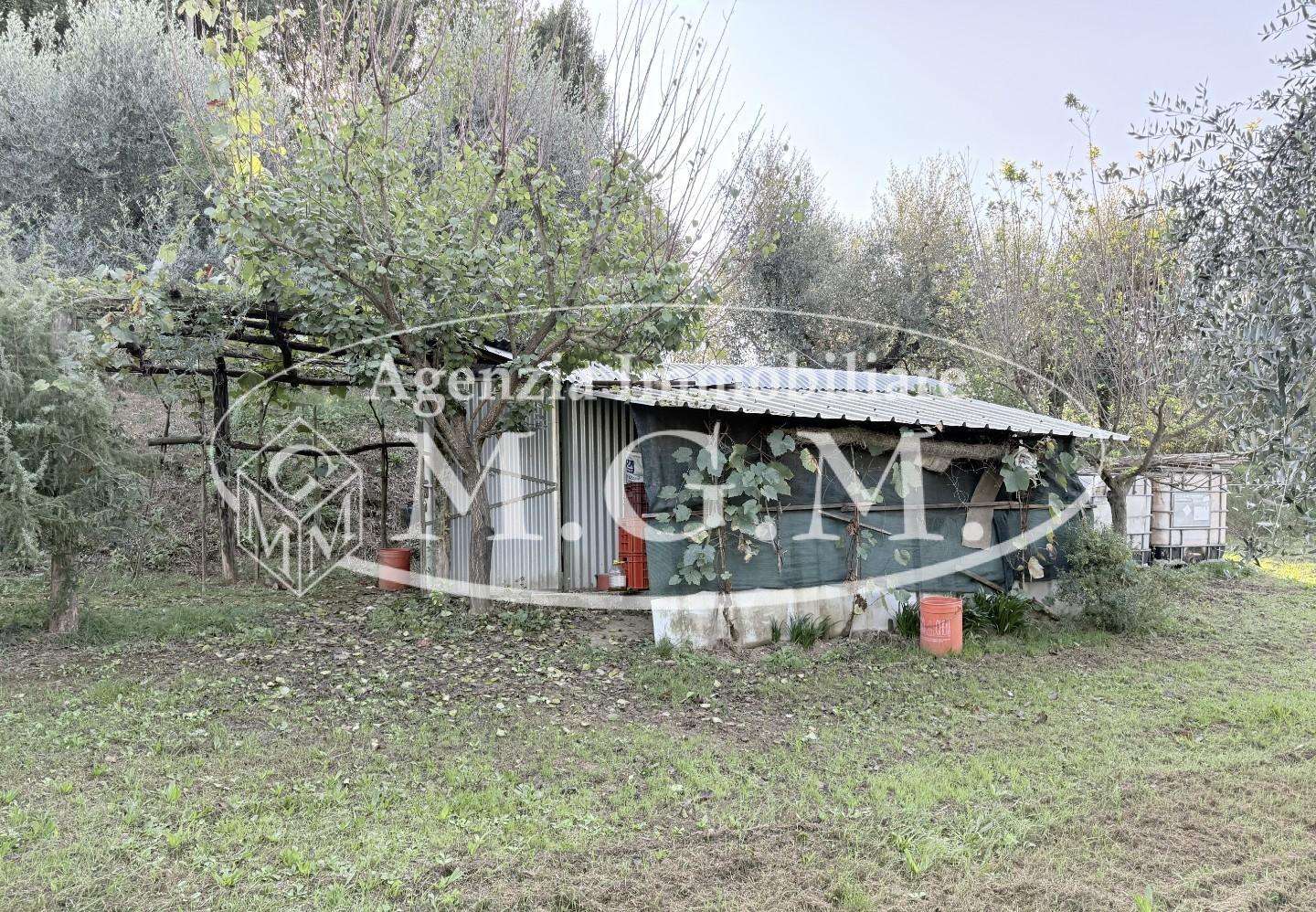  - foto 5