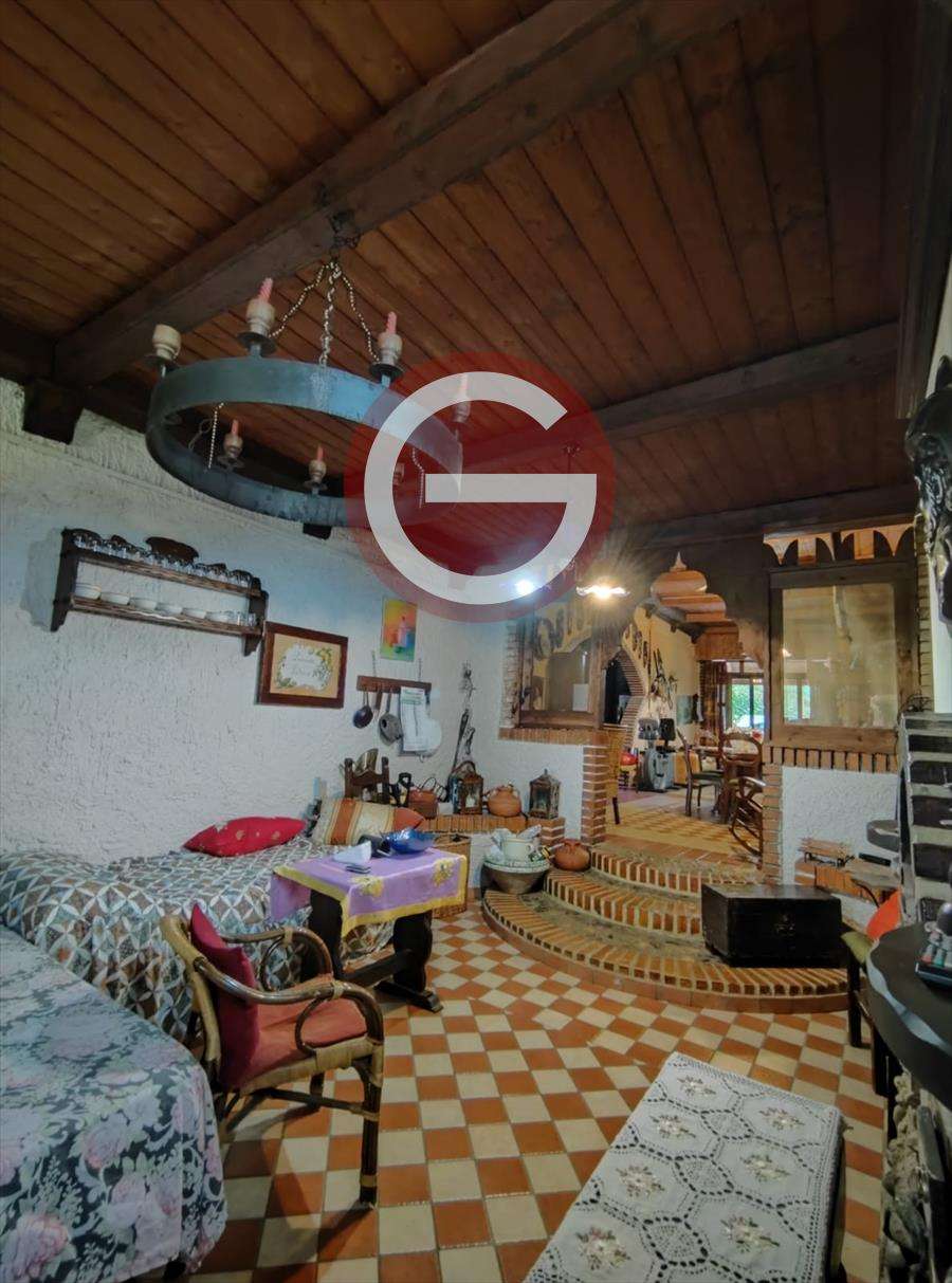  - foto 7