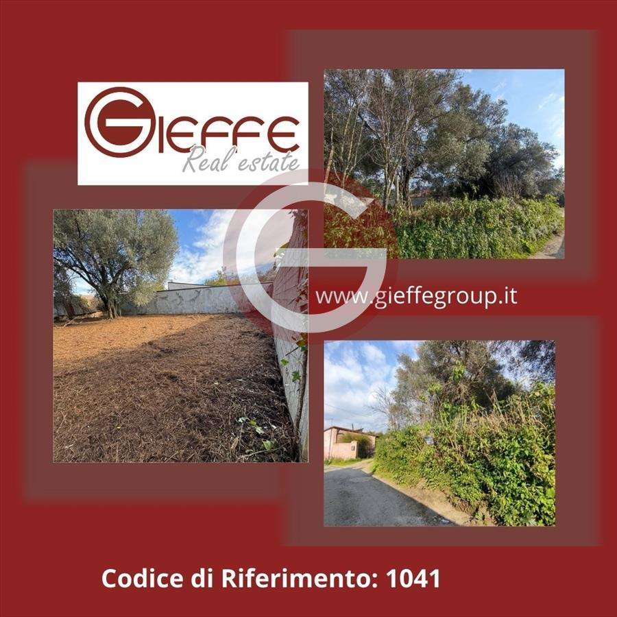 Terreno agricolo, Taurianova