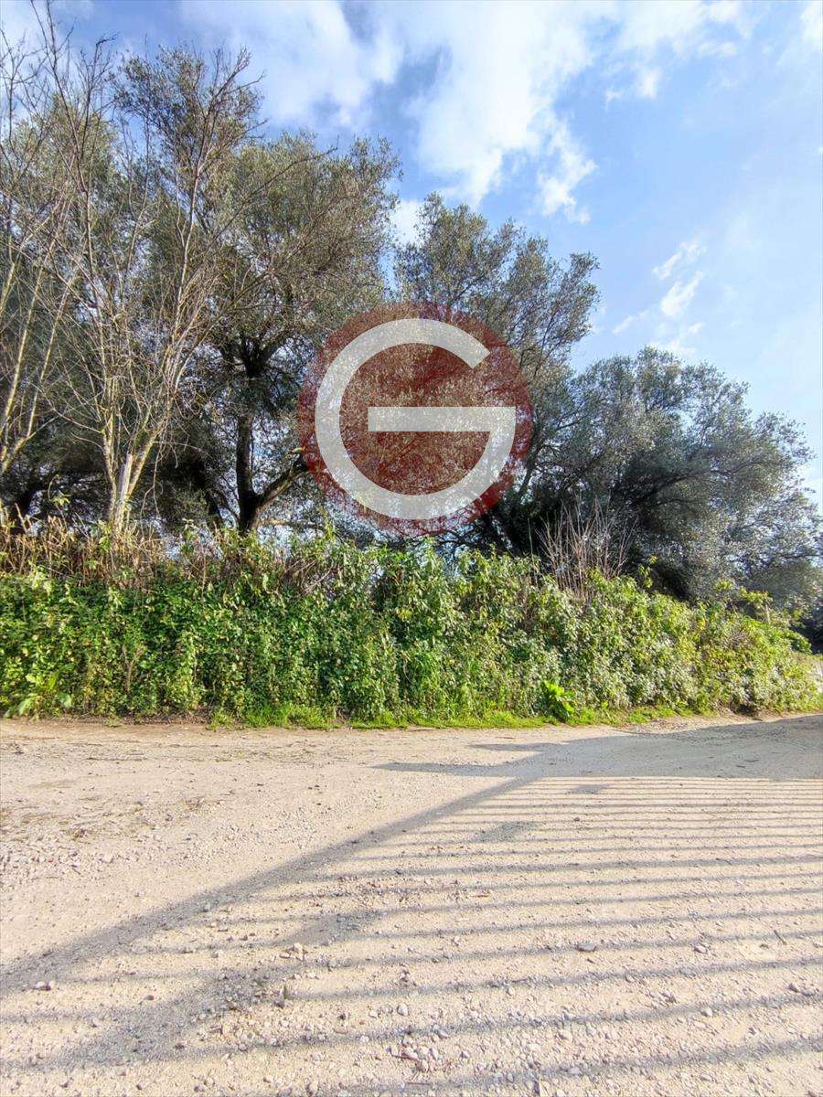  - foto 14