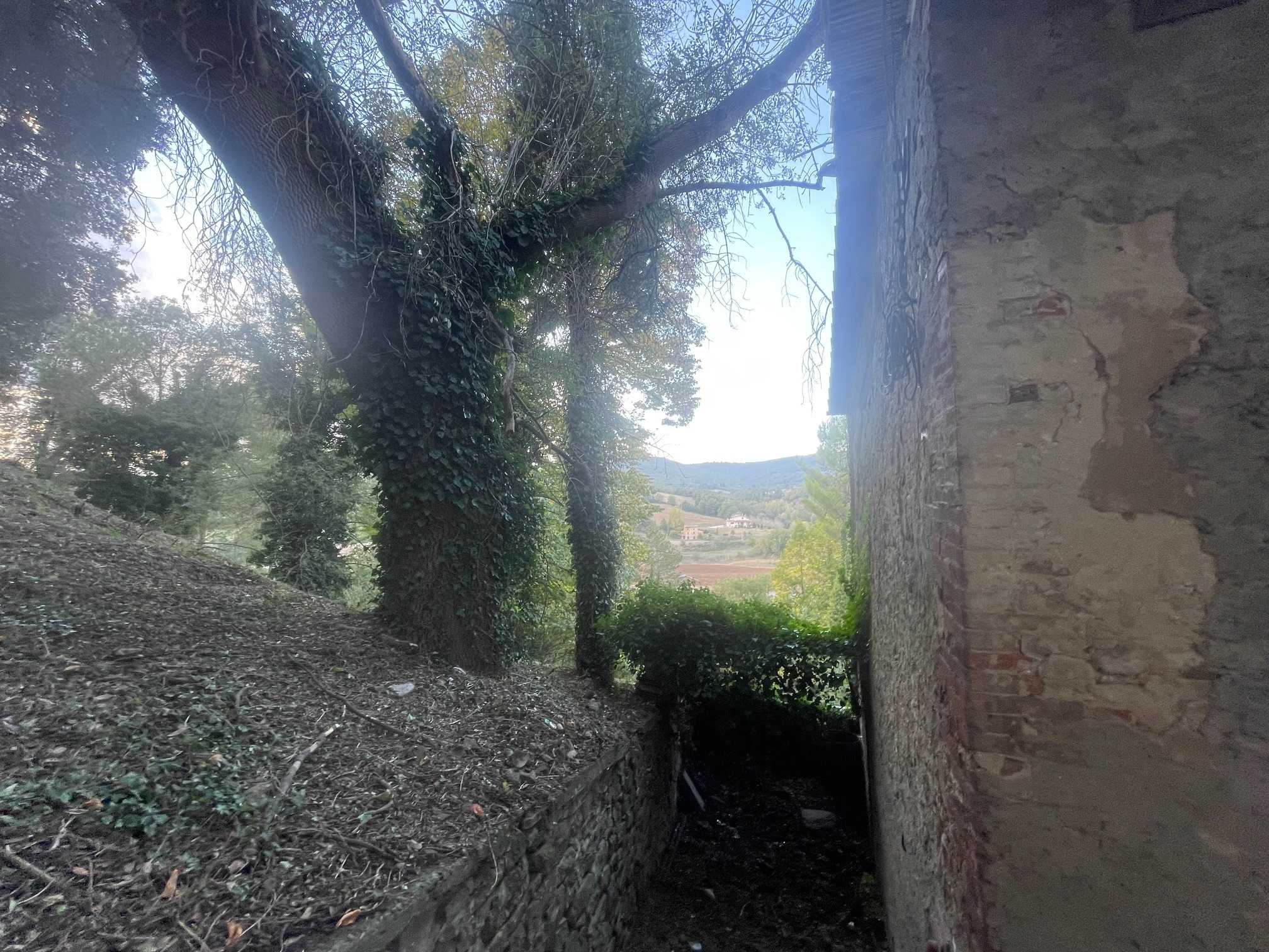  - foto 14
