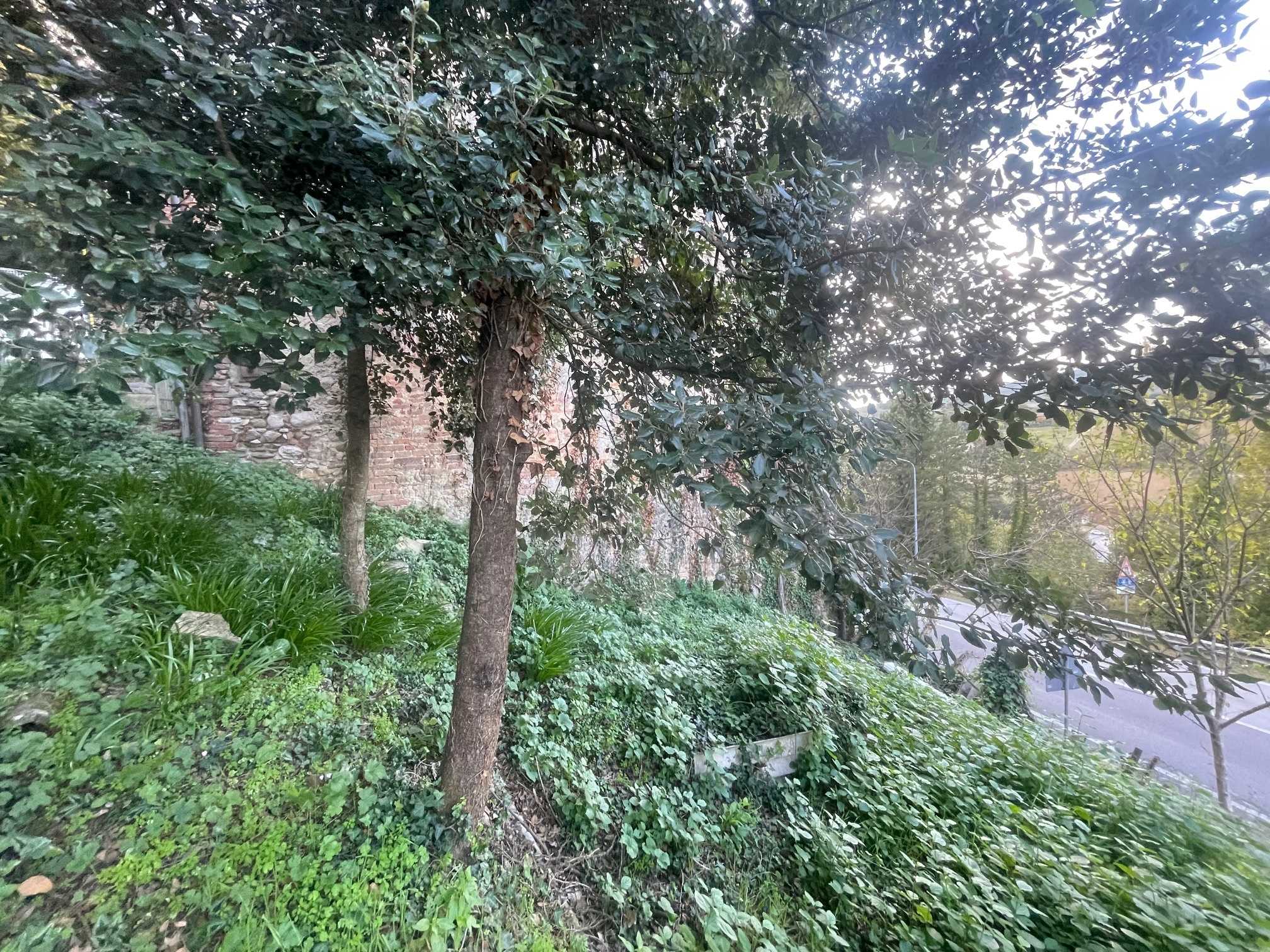  - foto 17