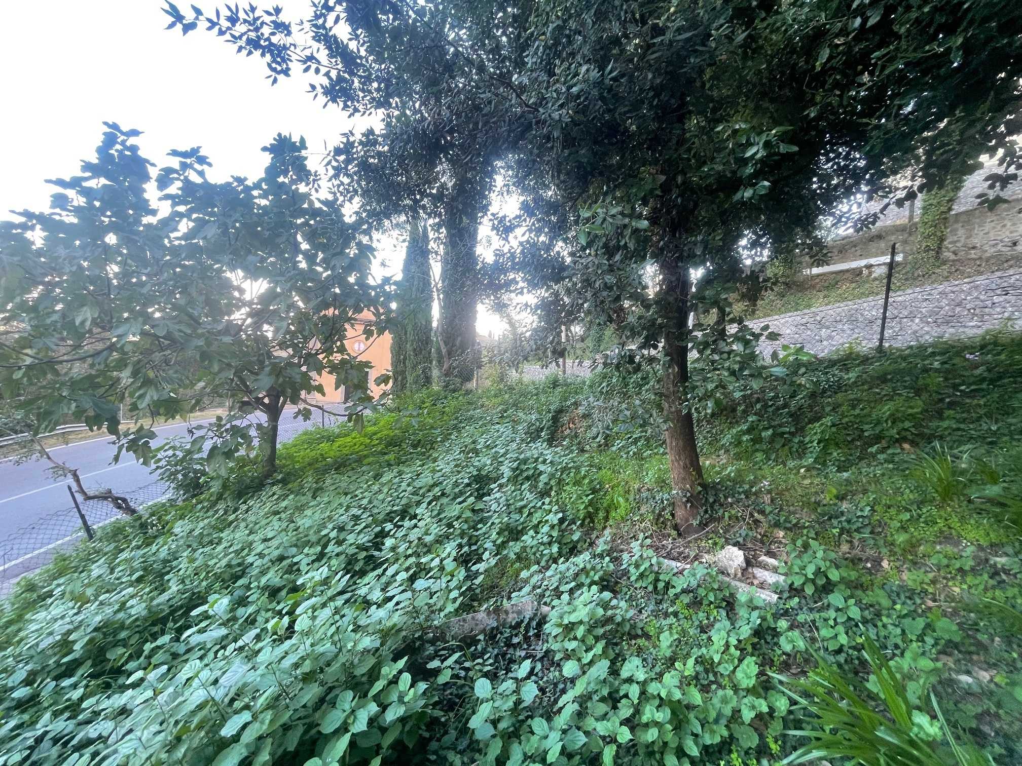  - foto 19