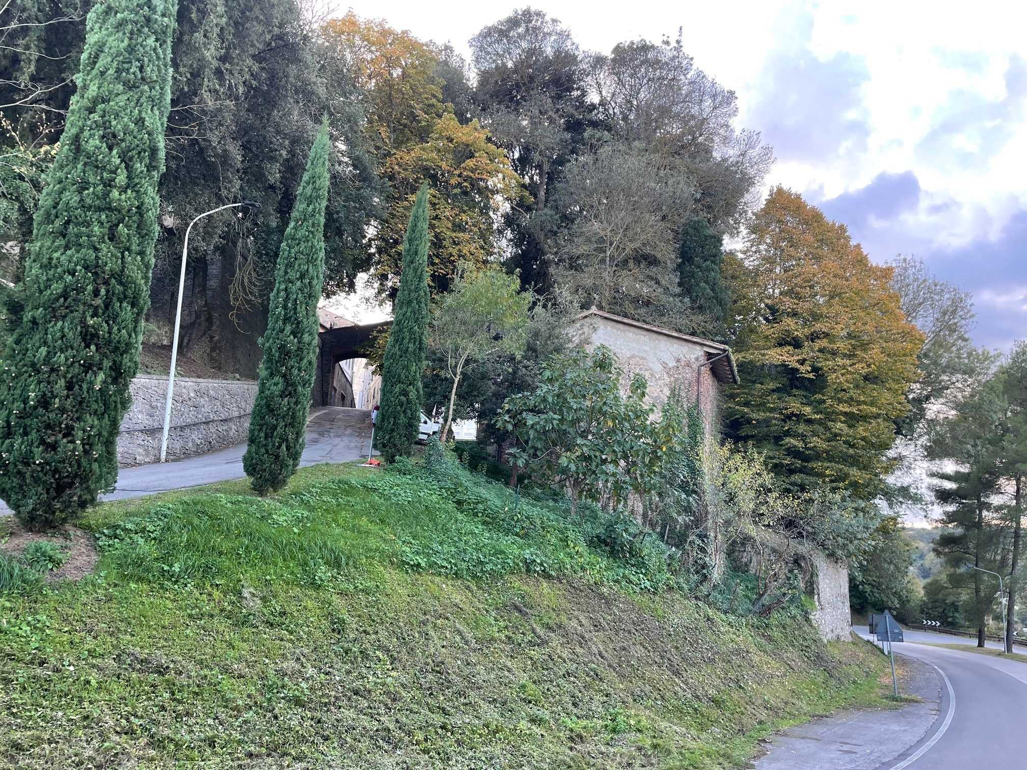  - foto 2