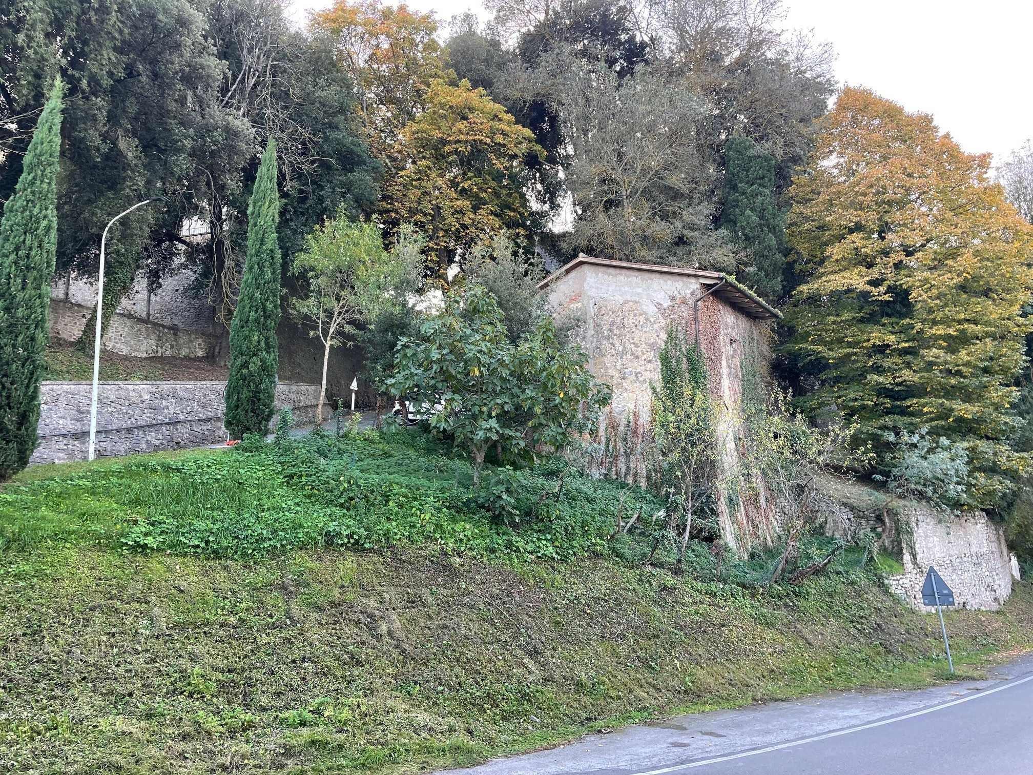  - foto 21