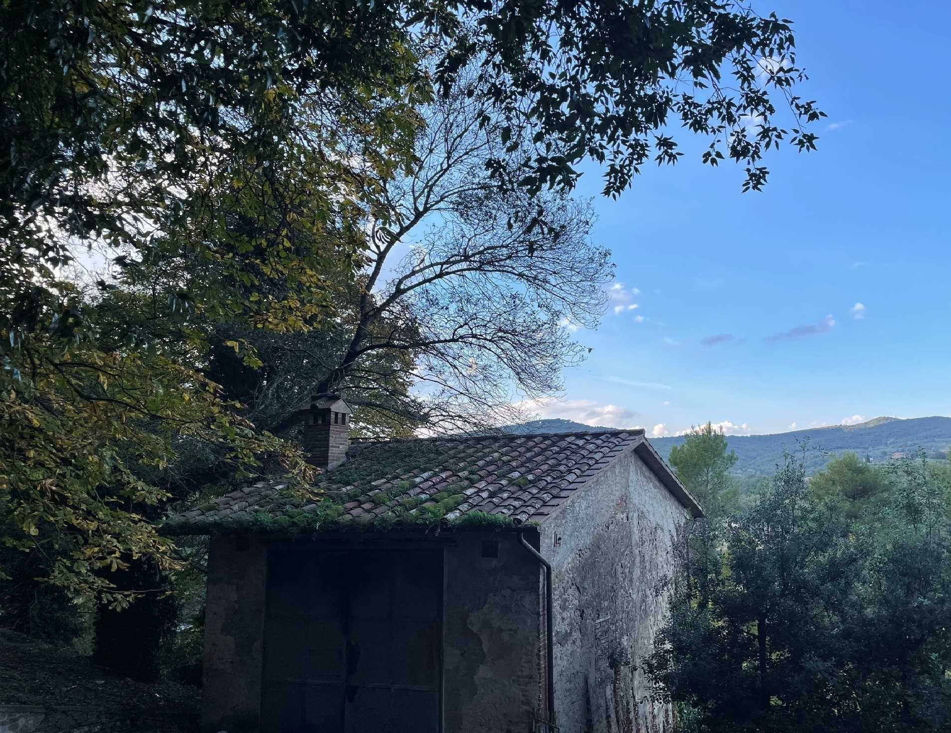  - foto 27