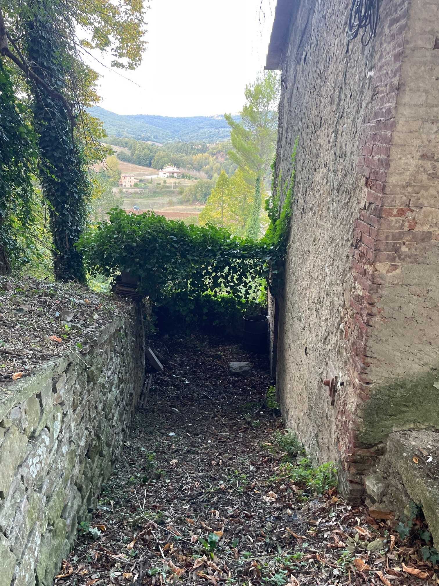  - foto 4