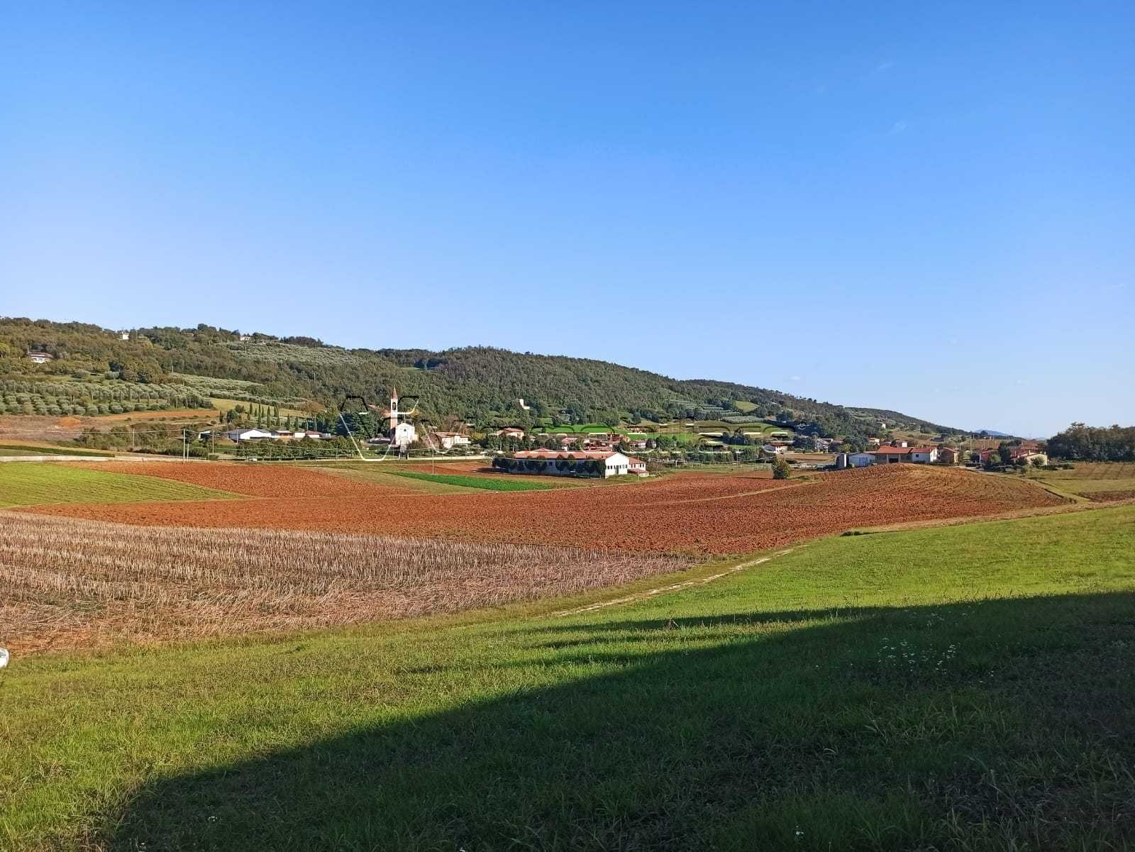  - foto 2