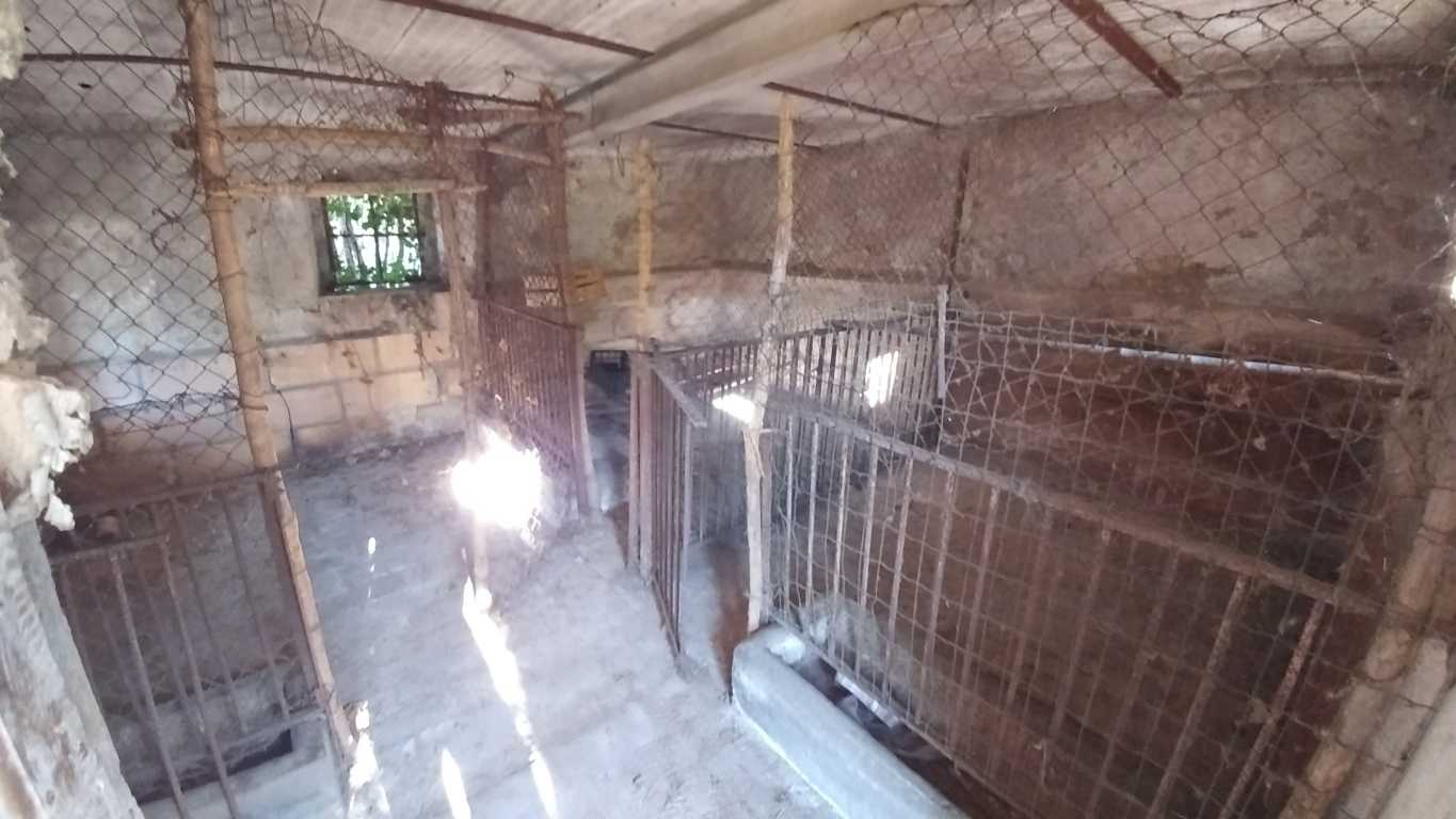  - foto 18