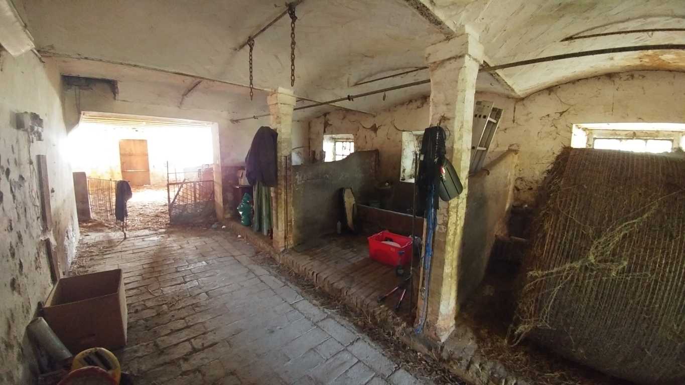  - foto 30