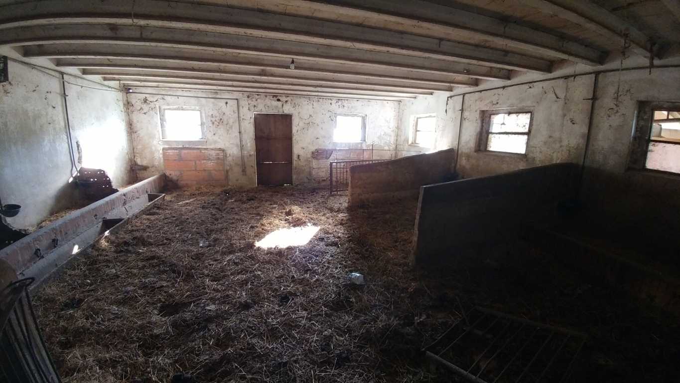  - foto 31