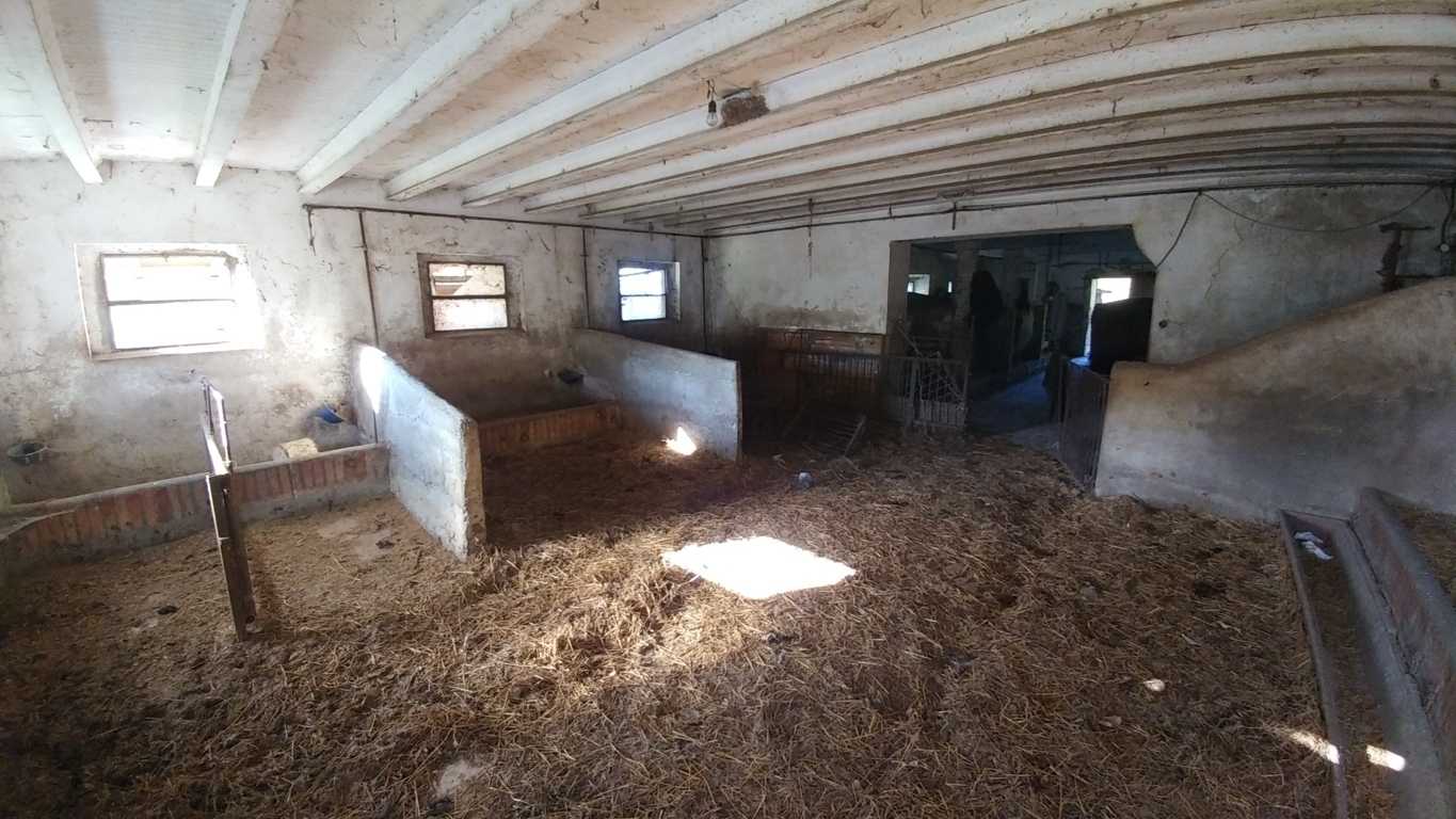  - foto 21
