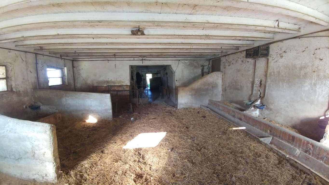  - foto 22