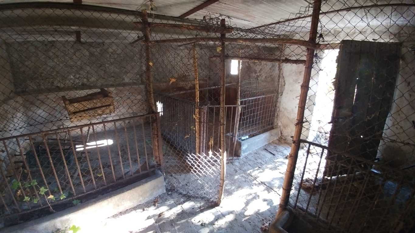  - foto 52