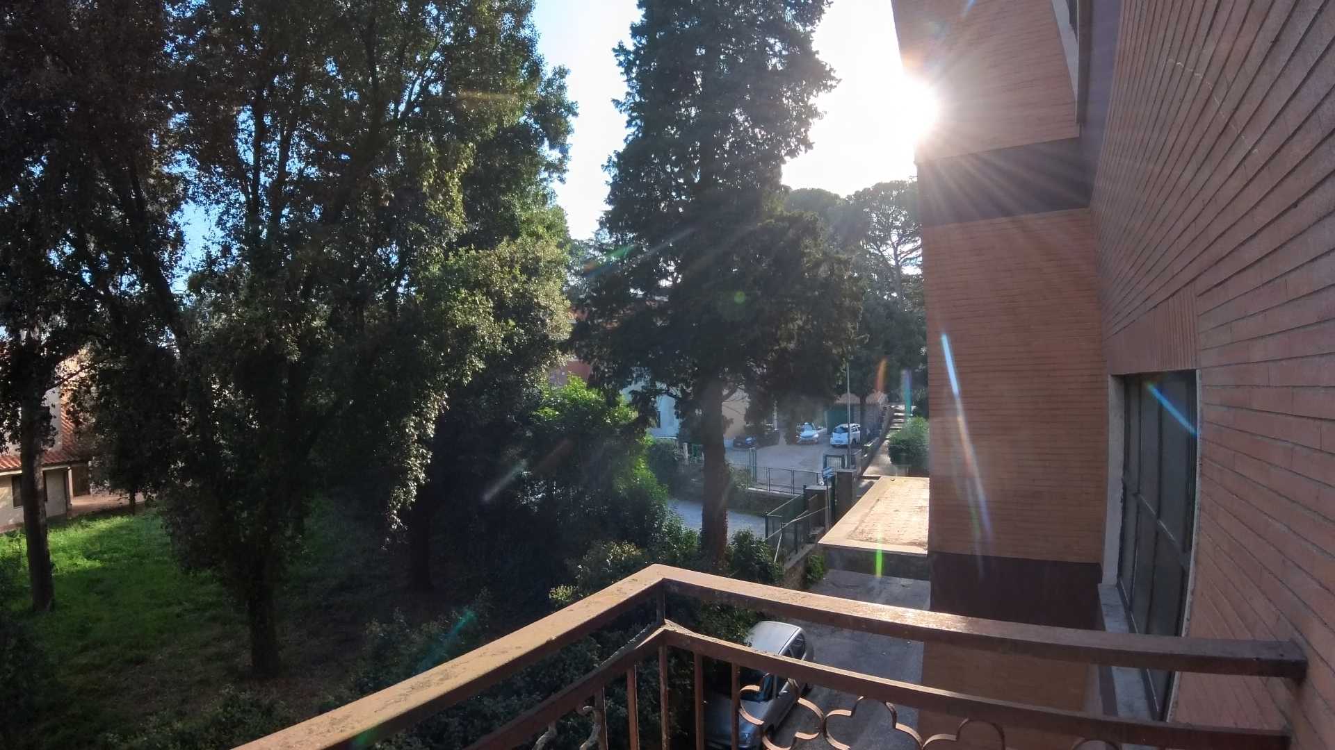 - foto 11