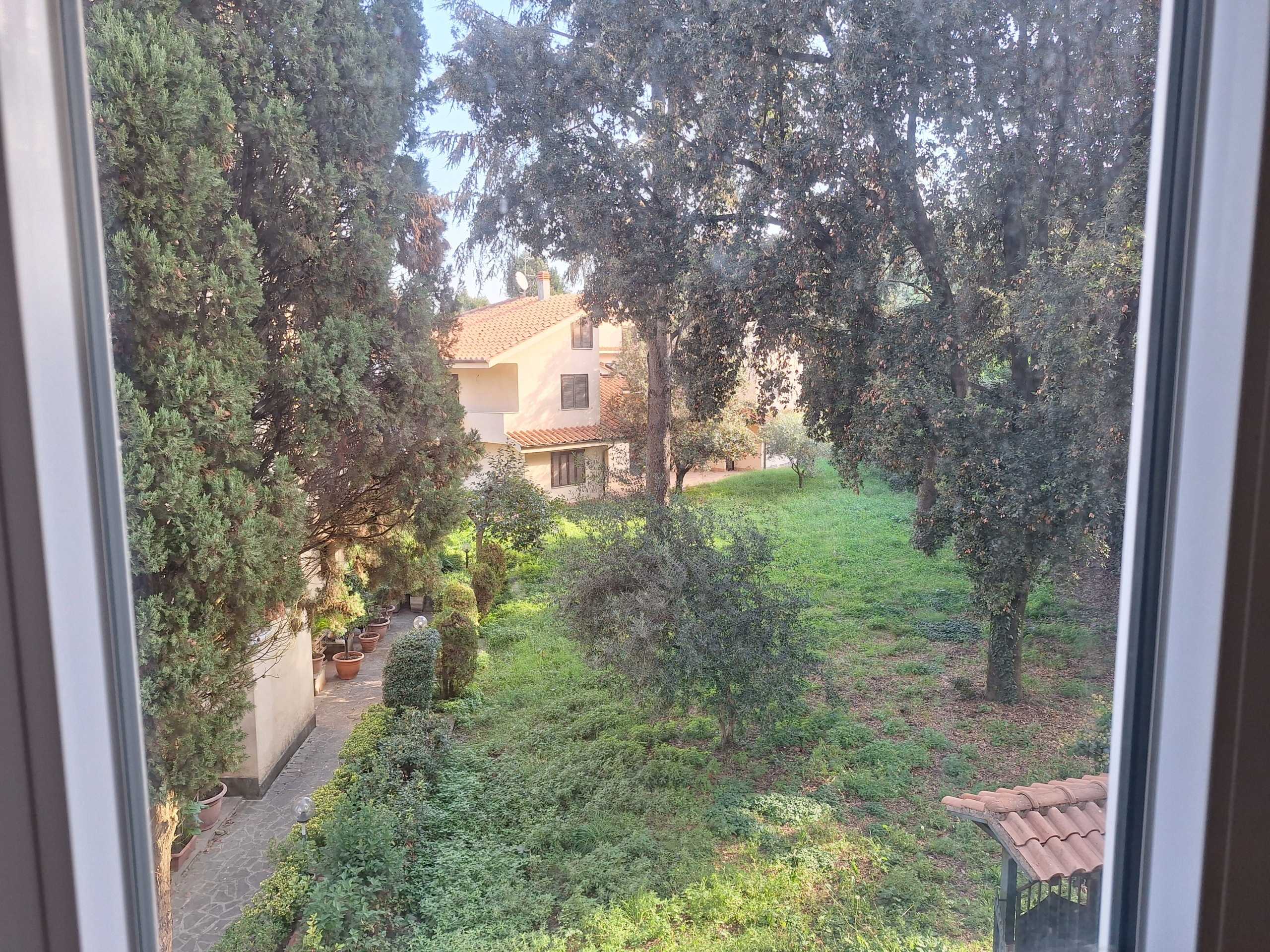  - foto 31