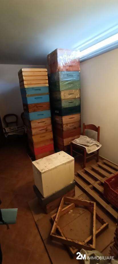  - foto 14