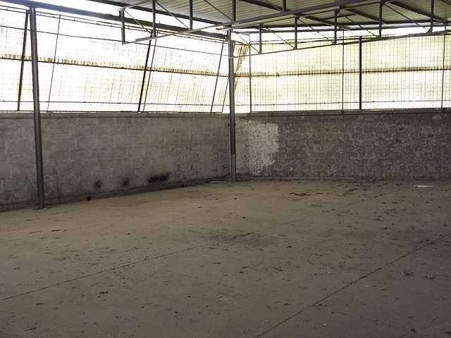 - foto 6