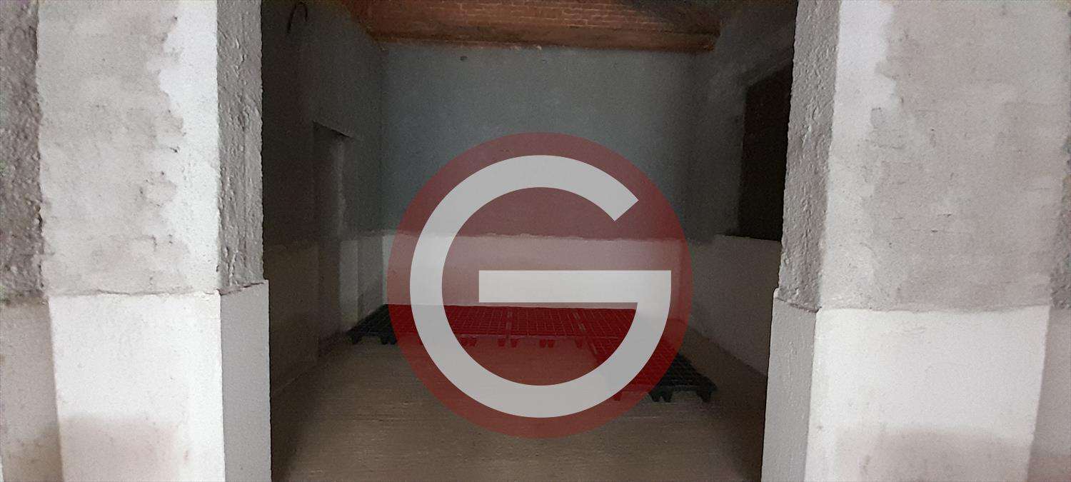  - foto 11