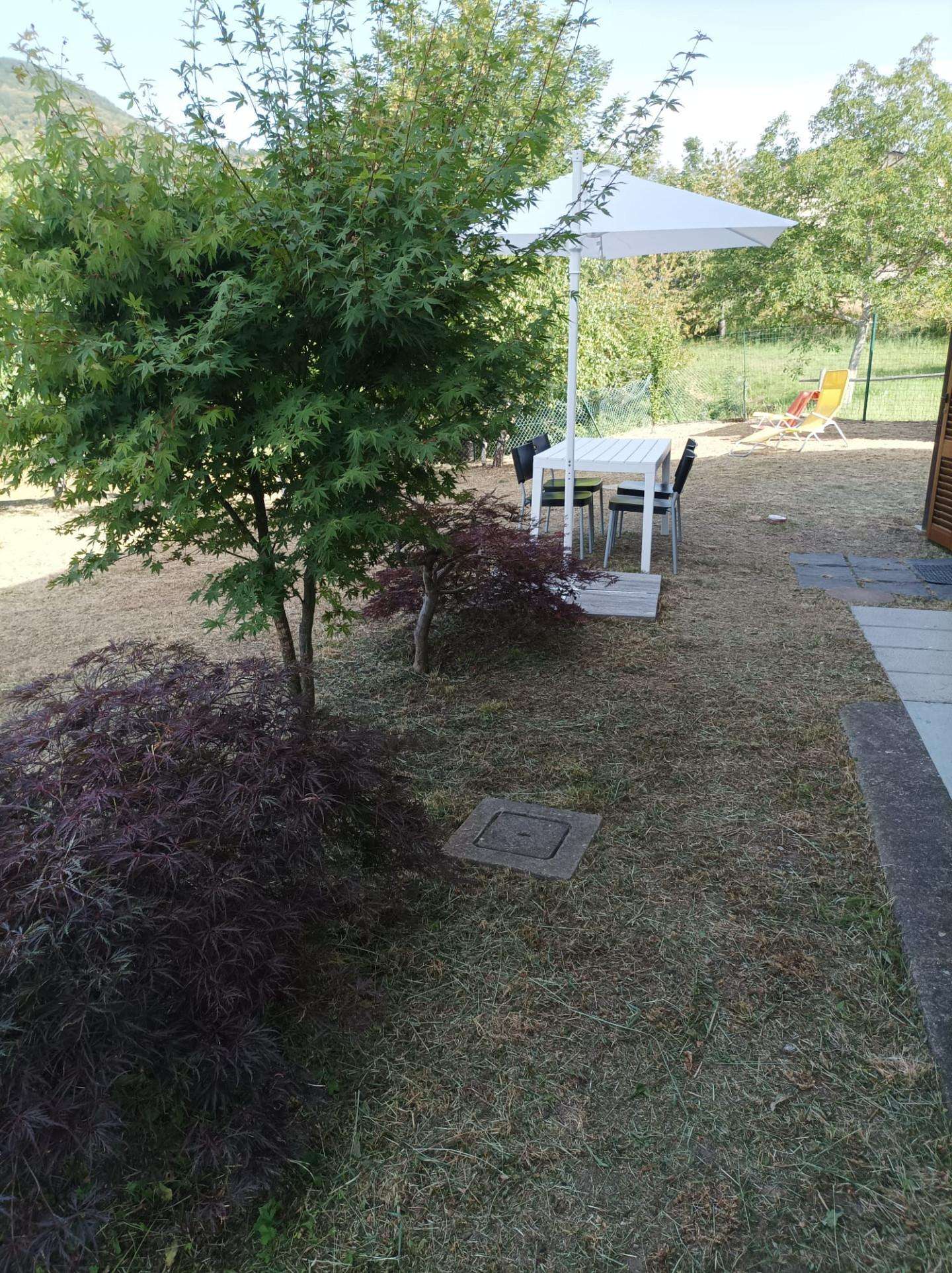  - foto 6