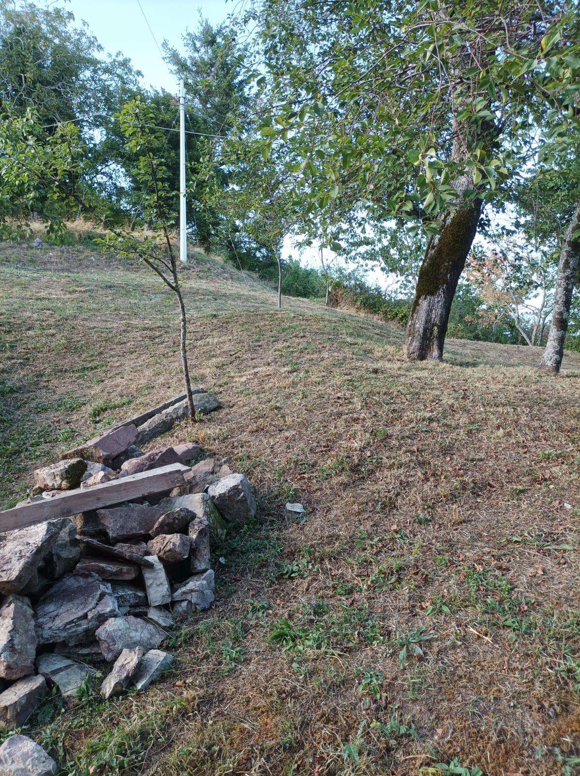  - foto 20