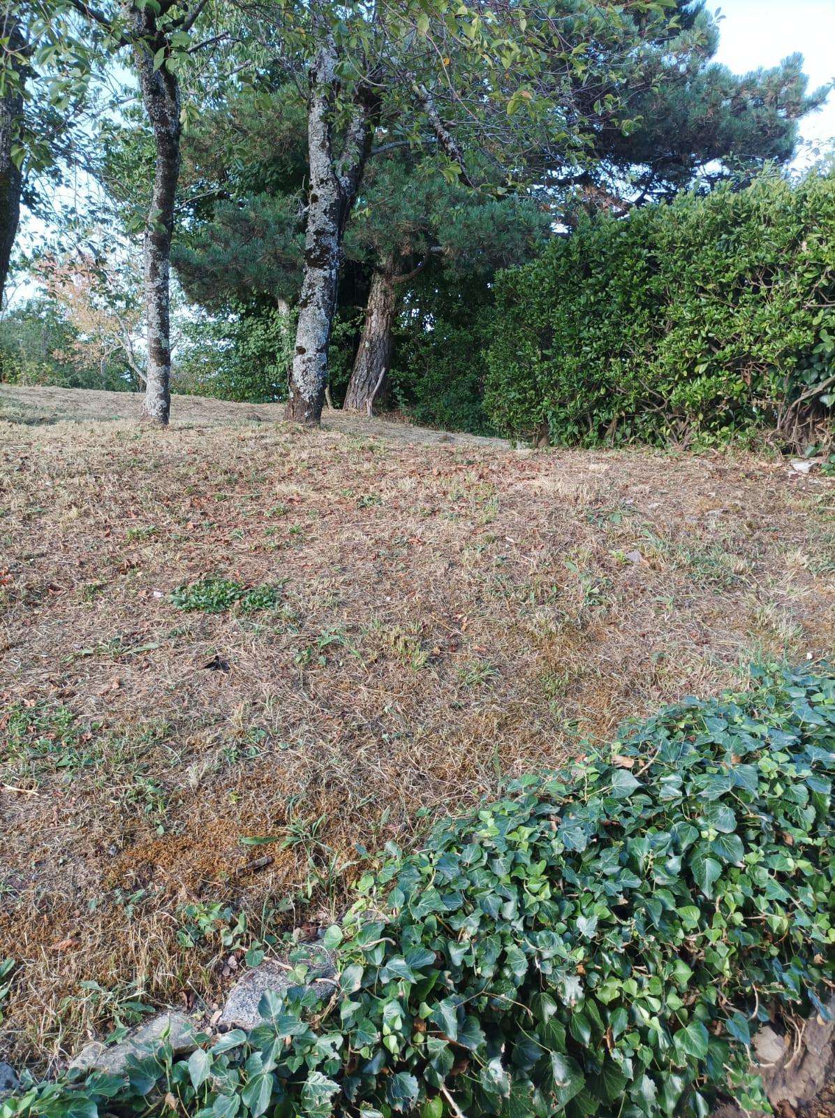  - foto 21