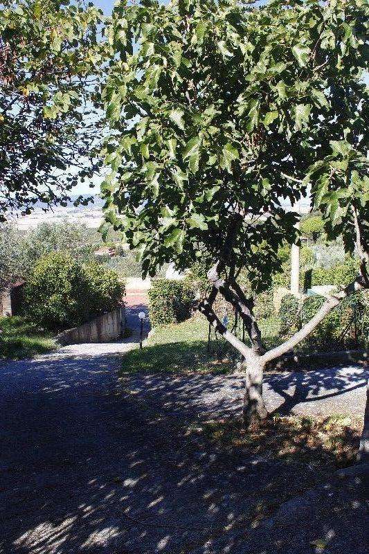  - foto 29