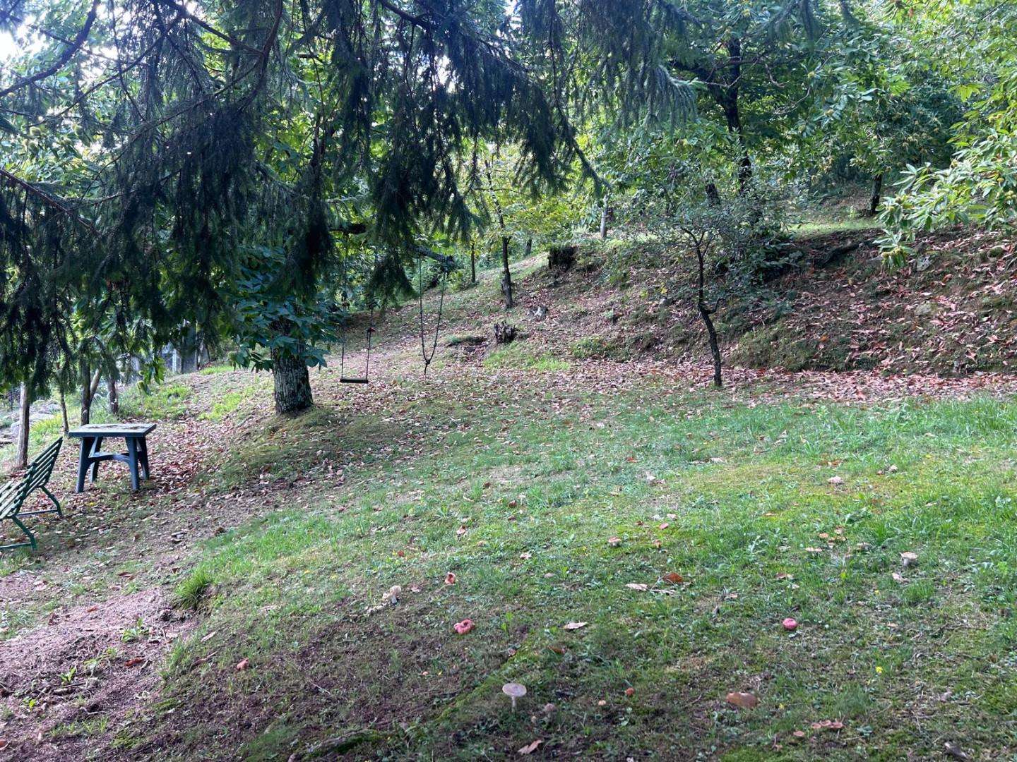  - foto 8