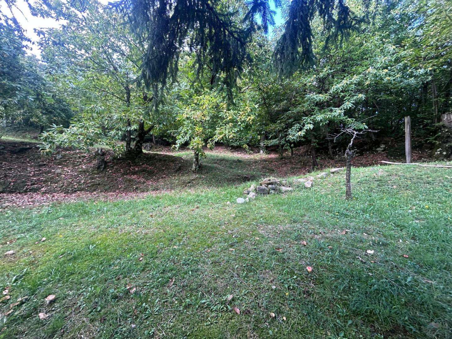 - foto 9
