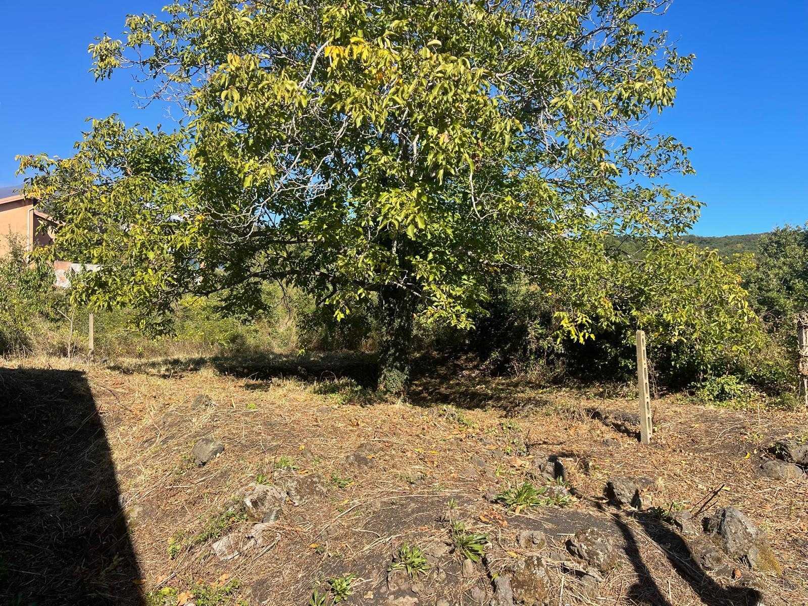  - foto 42