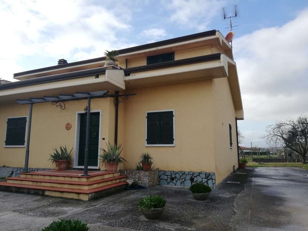  - foto 50