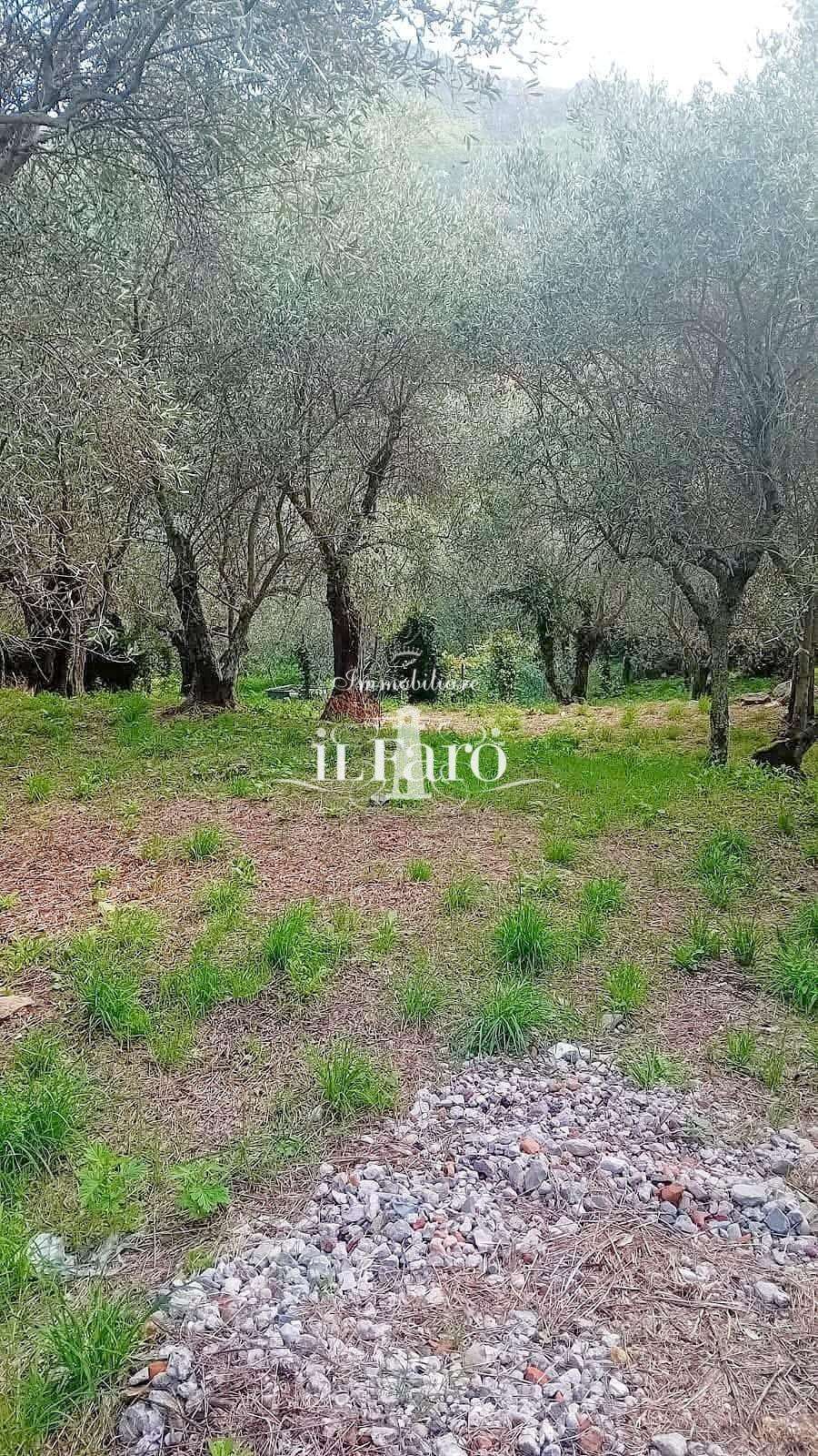  - foto 18