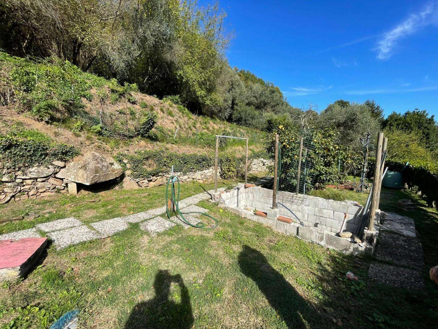 - foto 41