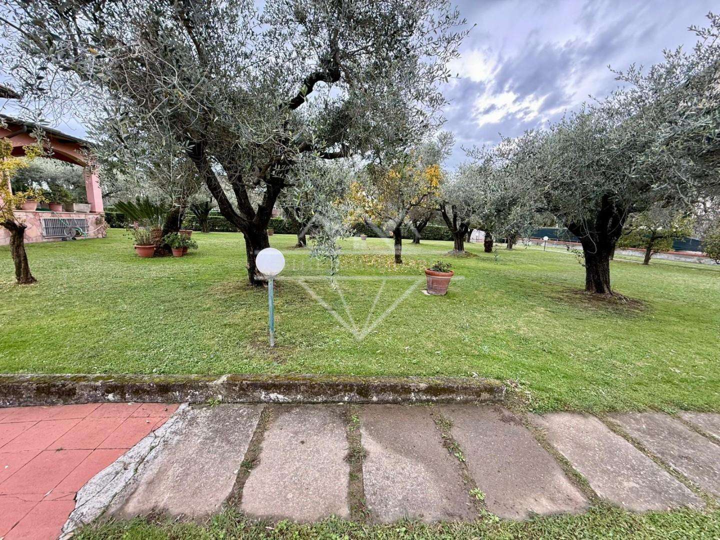  - foto 31