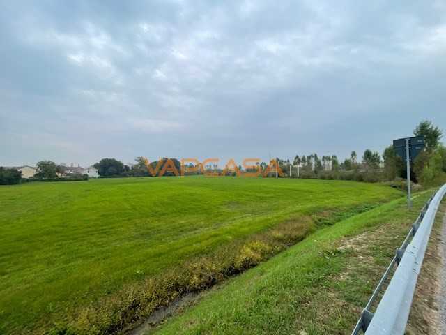  - foto 14