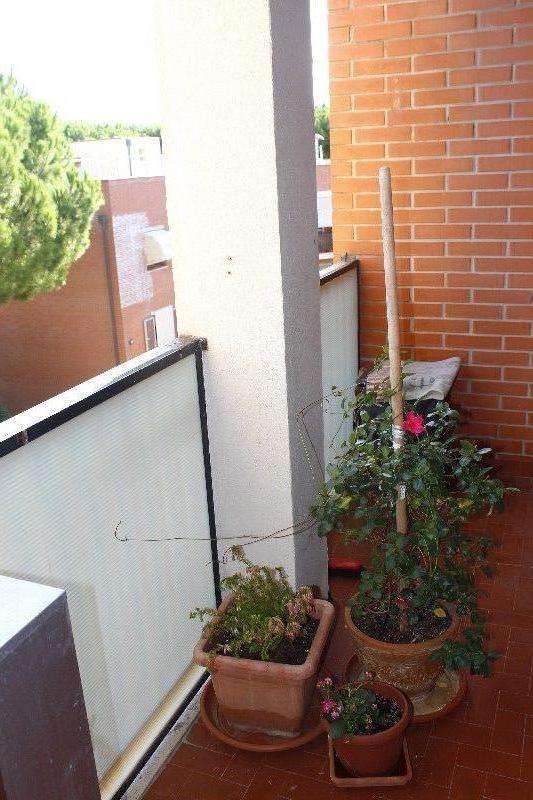  - foto 7