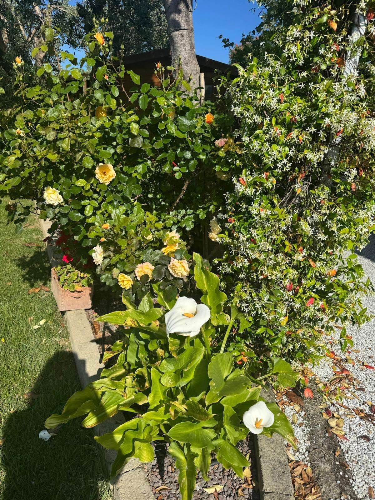  - foto 24