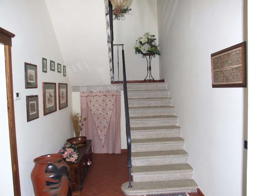  - foto 15