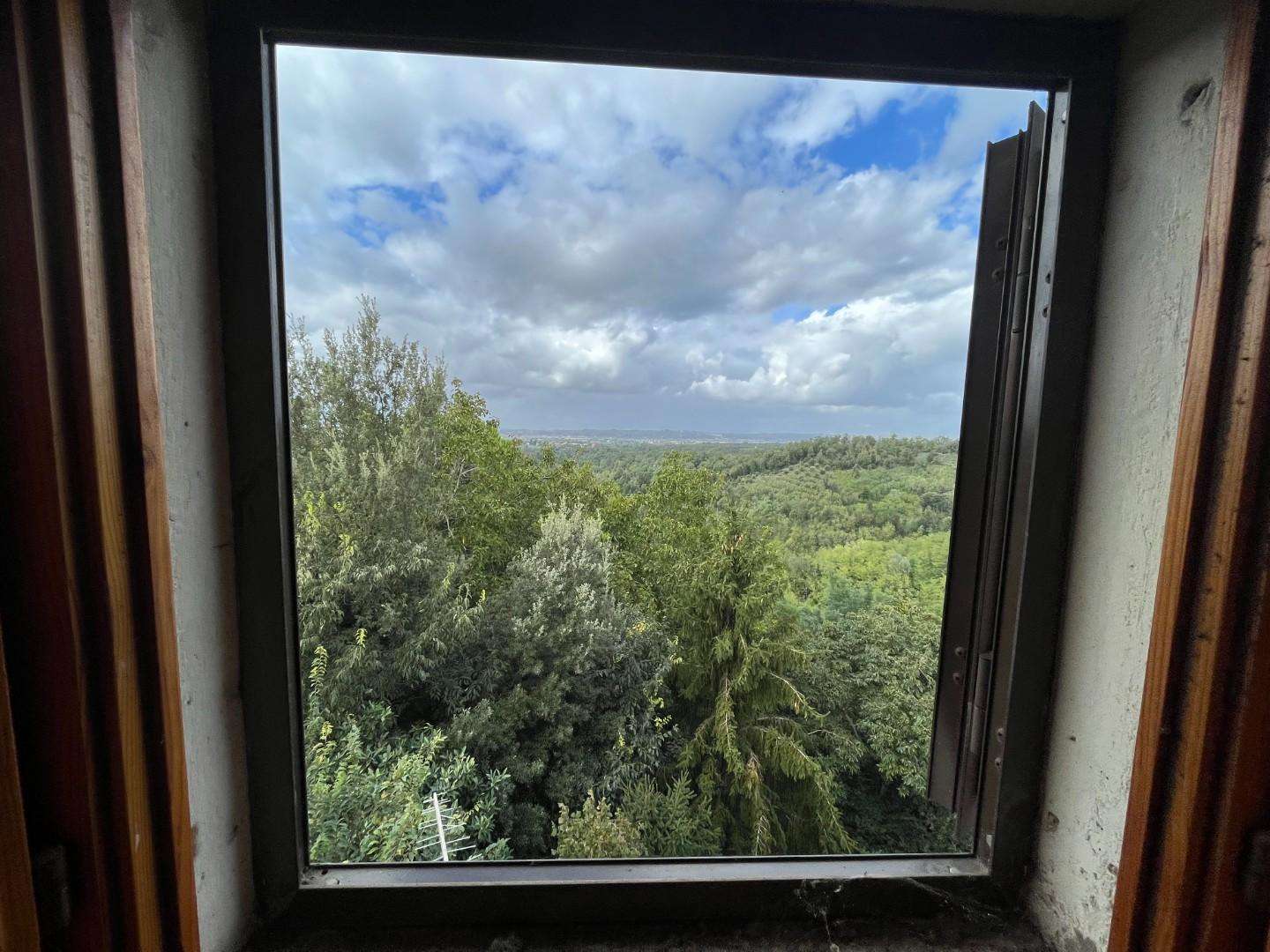 - foto 12