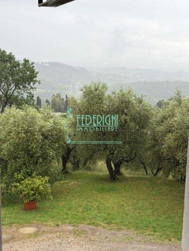  - foto 13