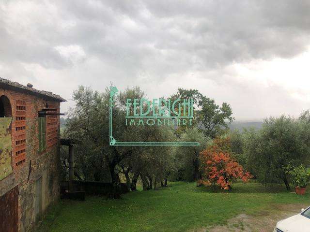  - foto 8