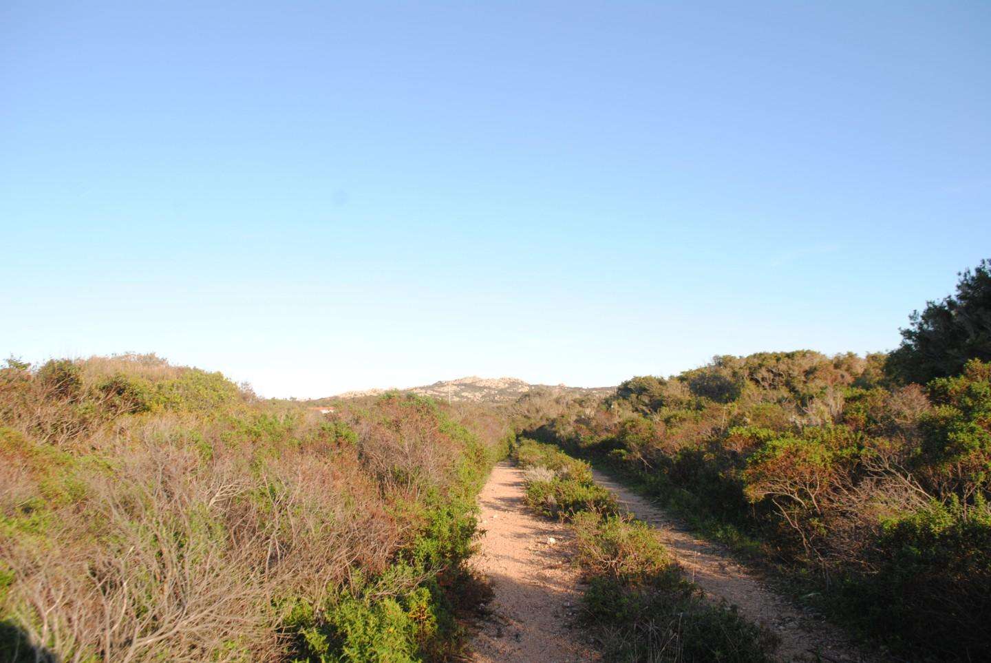  - foto 15