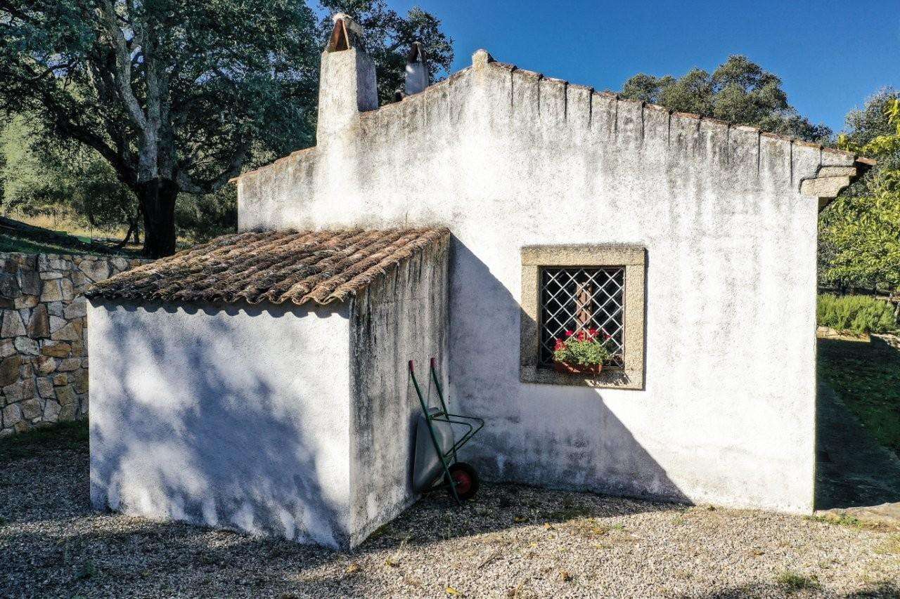  - foto 11
