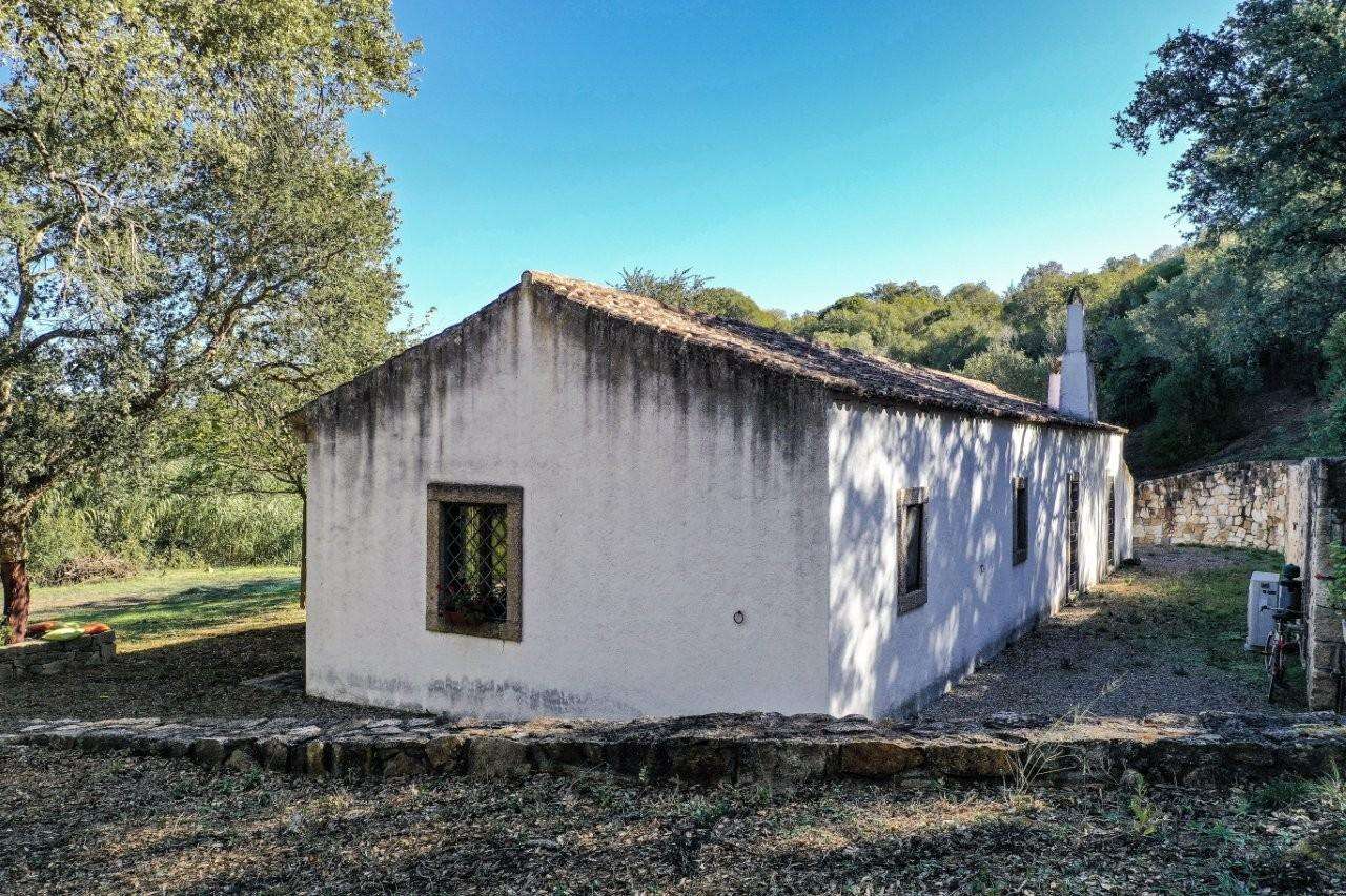  - foto 4