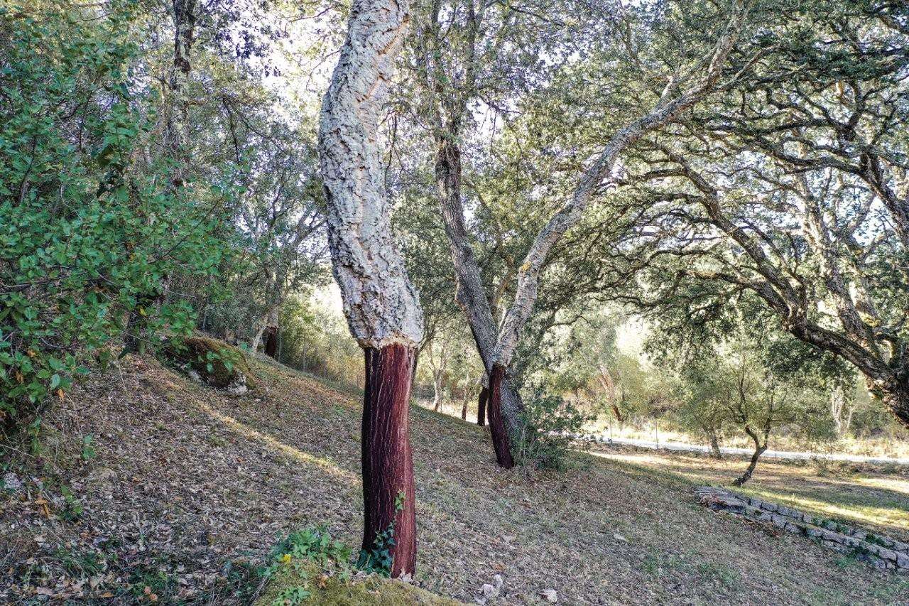  - foto 8