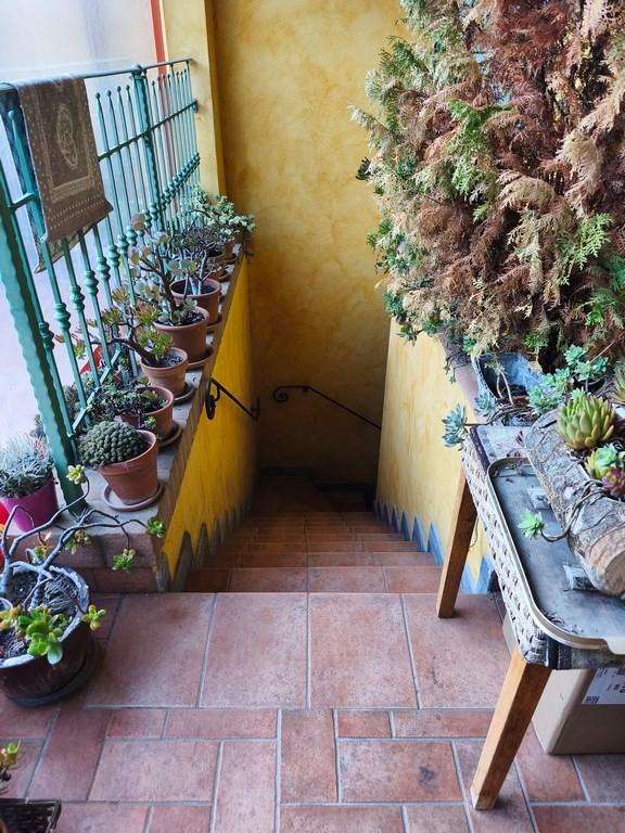  - foto 37