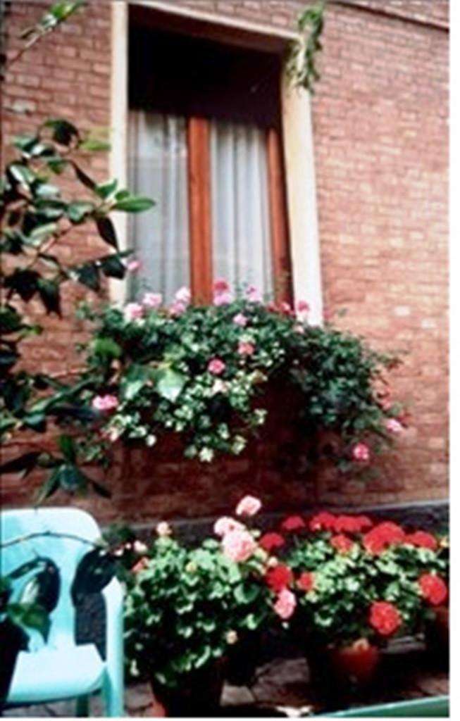  - foto 2