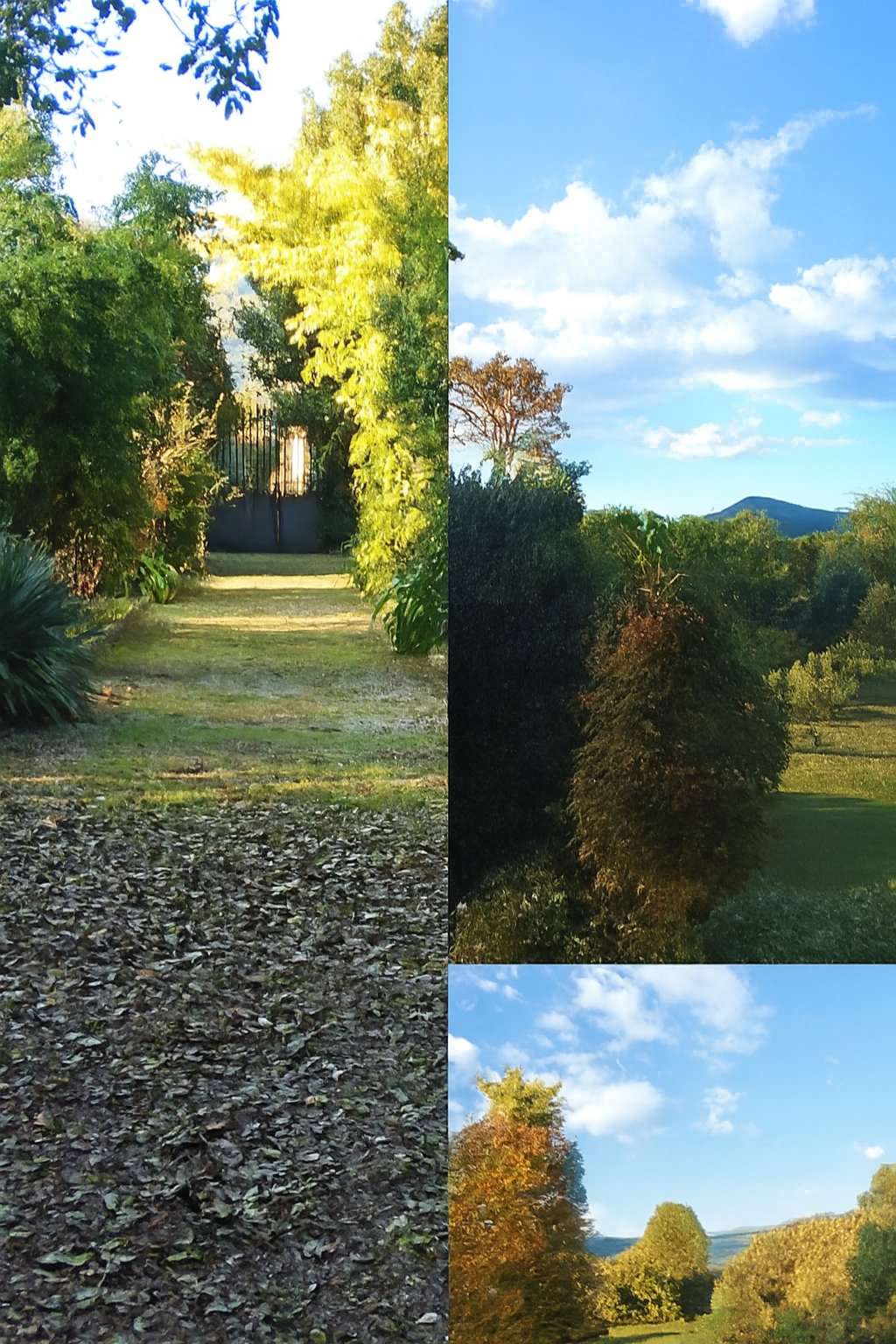  - foto 13