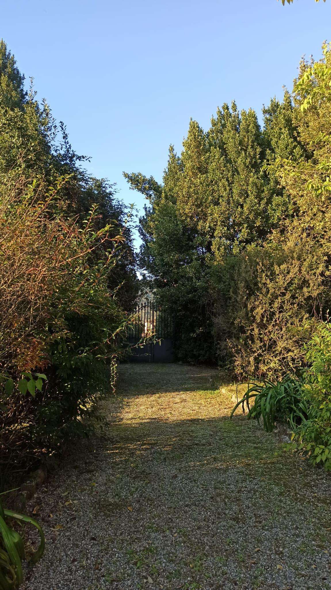  - foto 14