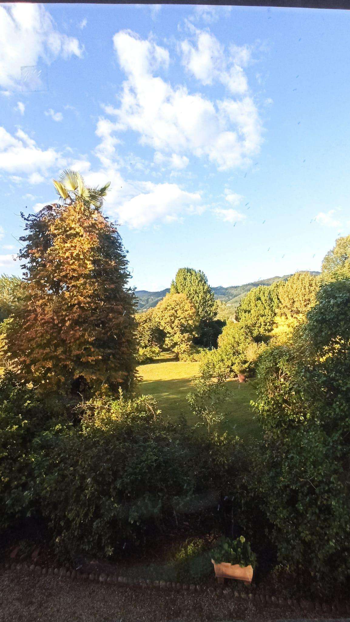  - foto 33
